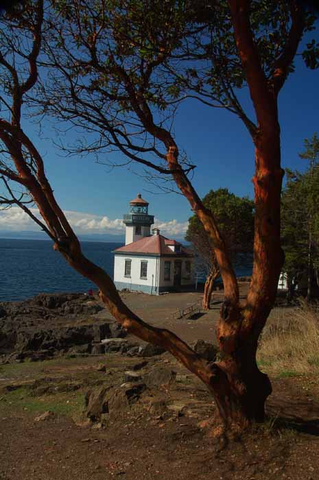 Lime Kiln Point